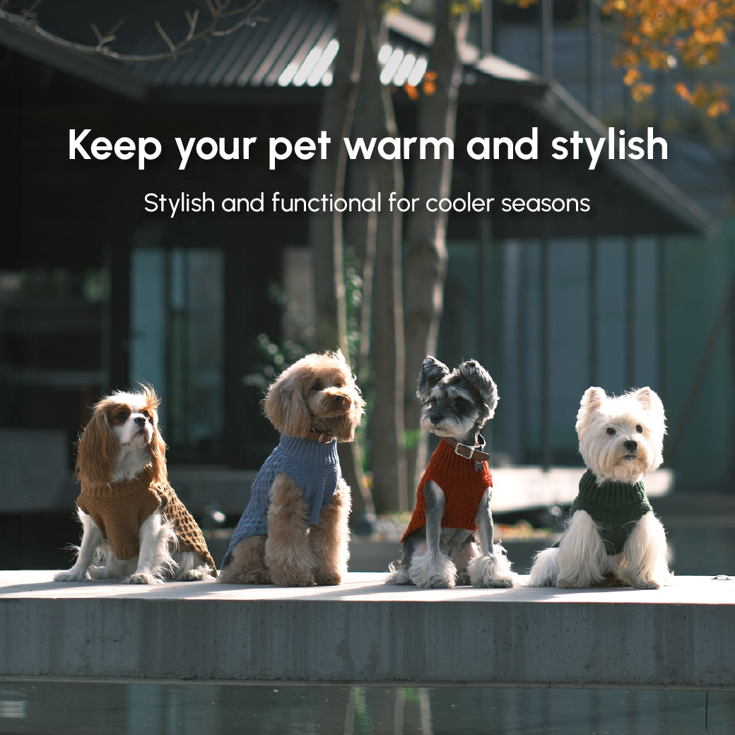 Gilet pull pour animaux de compagnie - Vert