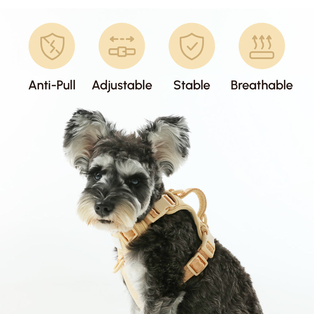HARNAIS ANTI-TRACTION ACTIF POUR ANIMAL DE COMPAGNIE - ABRICOT