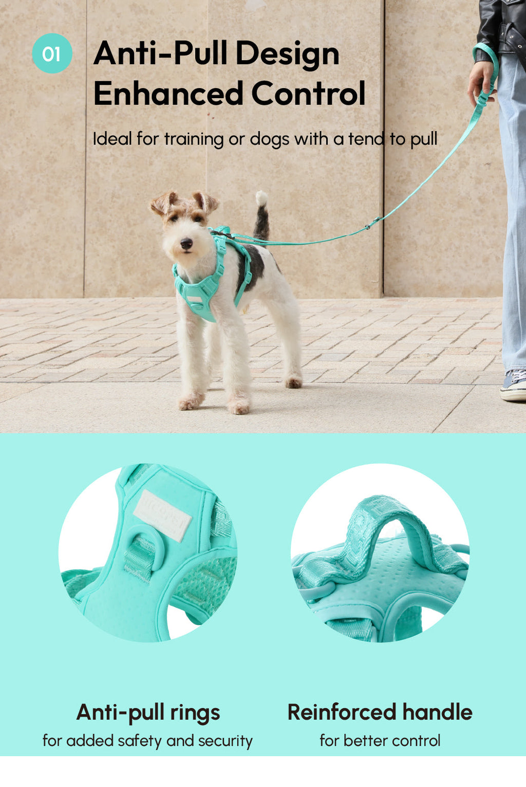 HARNAIS POUR ANIMAUX ANTI-TRACTION - VERT MENTHE