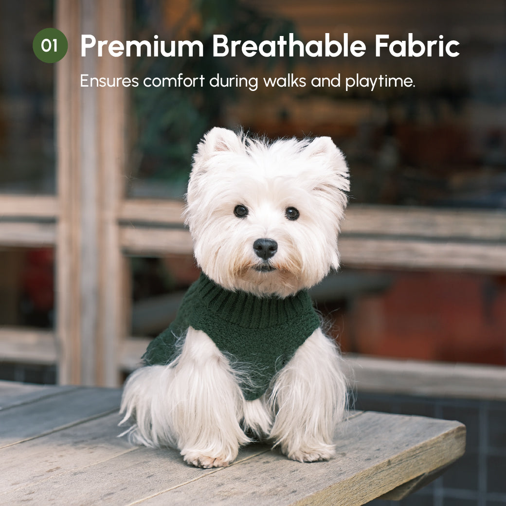 Gilet pull pour animaux de compagnie - Vert