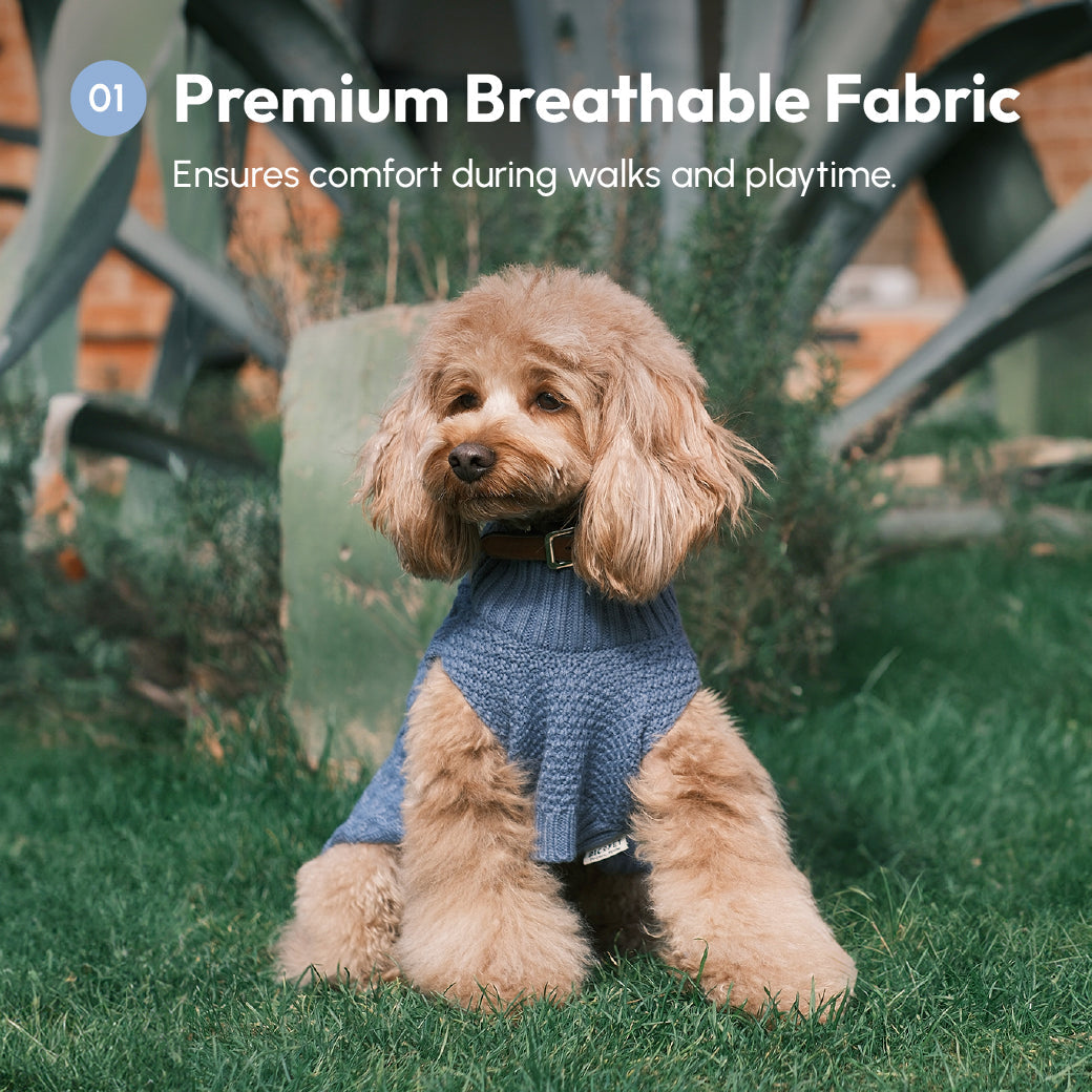 Gilet pour animaux de compagnie - Bleu glacier