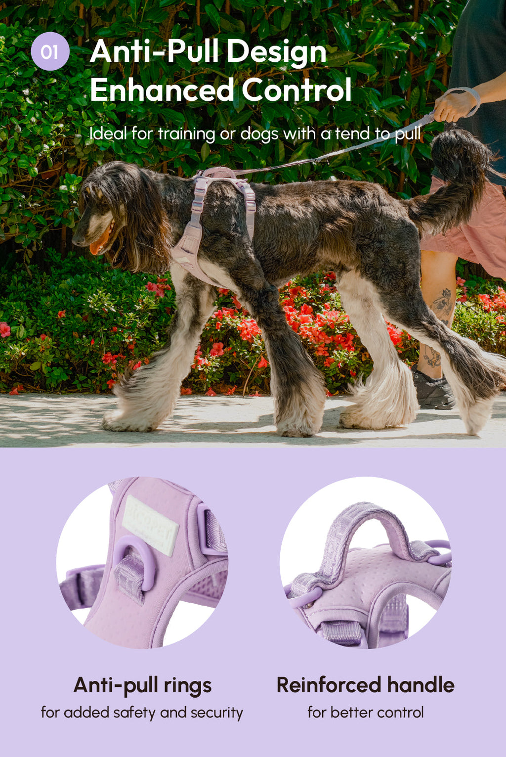 HARNAIS POUR ANIMAUX DE COMPAGNIE ANTI-TRACTION - VIOLET MENTHE