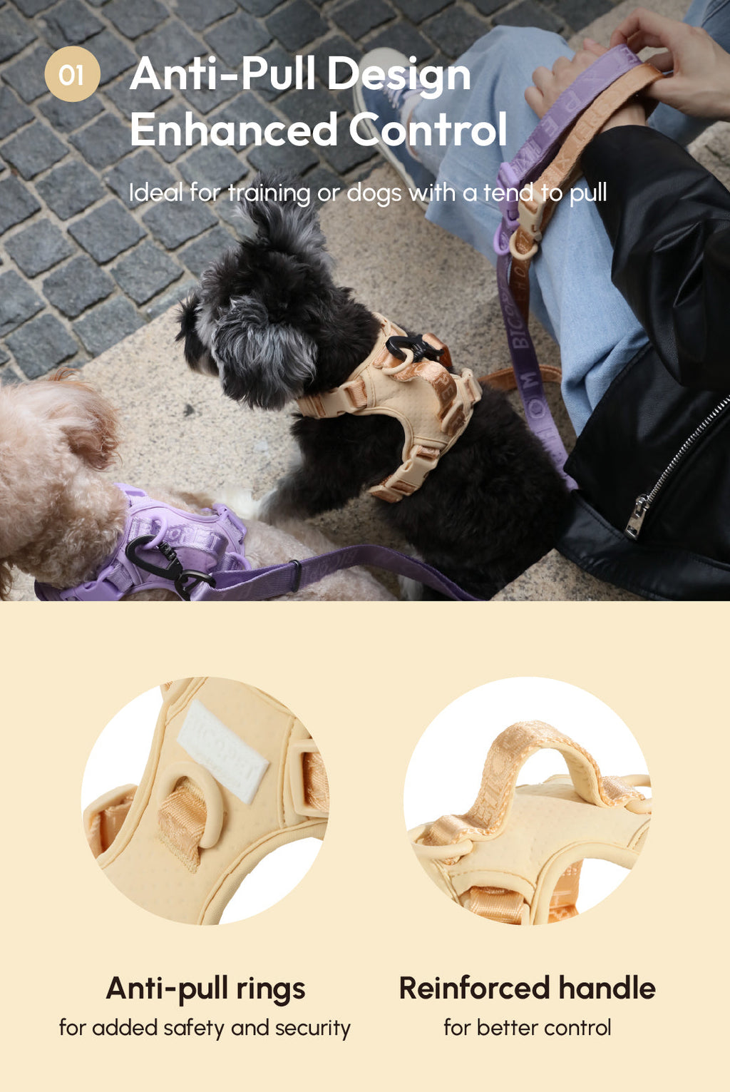 HARNAIS ANTI-TRACTION ACTIF POUR ANIMAL DE COMPAGNIE - ABRICOT