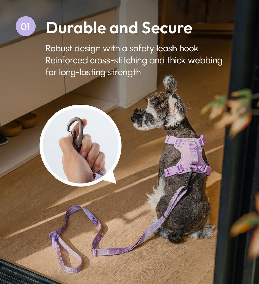 LAISSE REMBOURRÉE ACTIVE POUR ANIMAUX DE COMPAGNIE - VIOLET MENTHE
