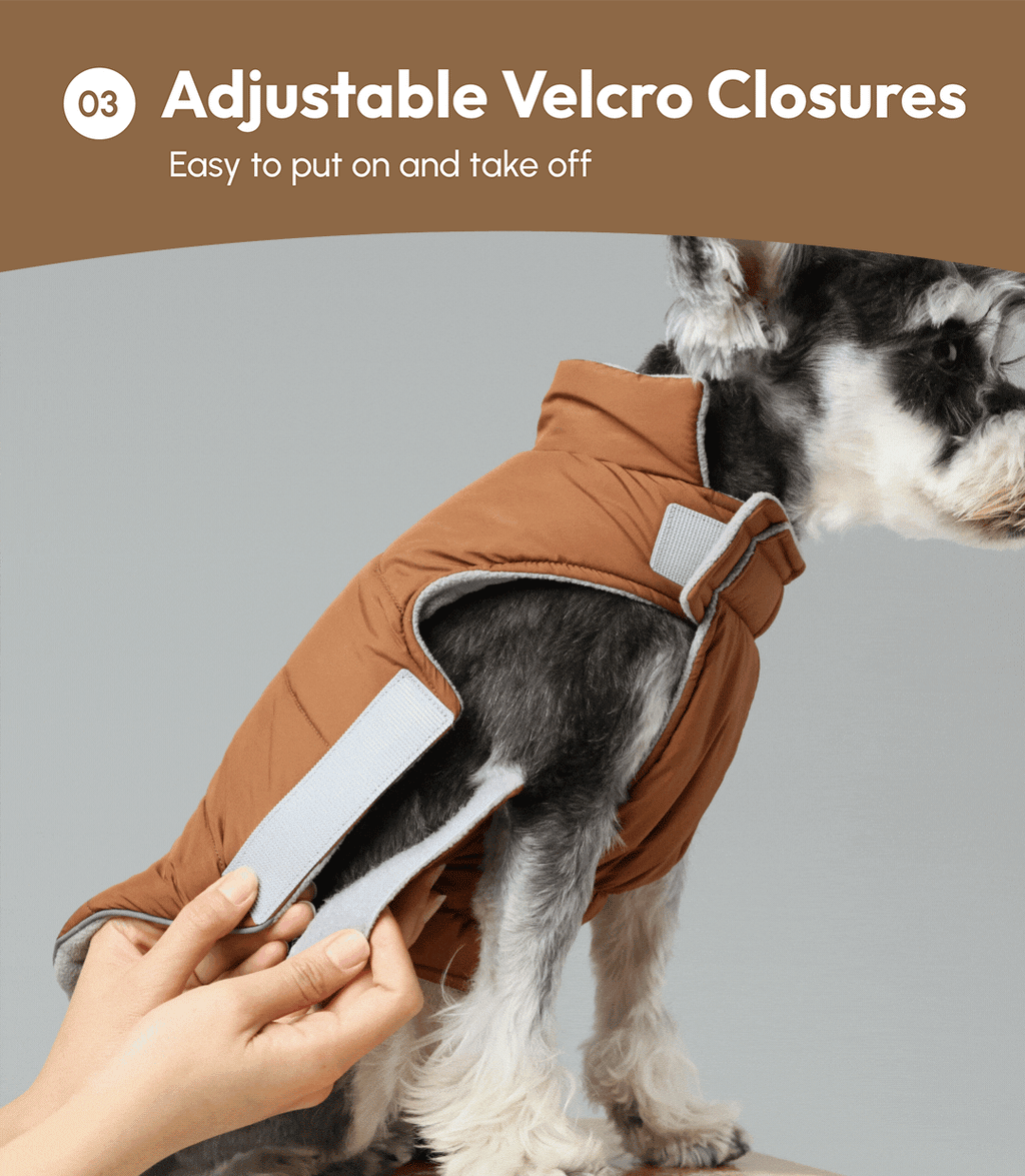 Gilet réversible pour chien - Vert marron