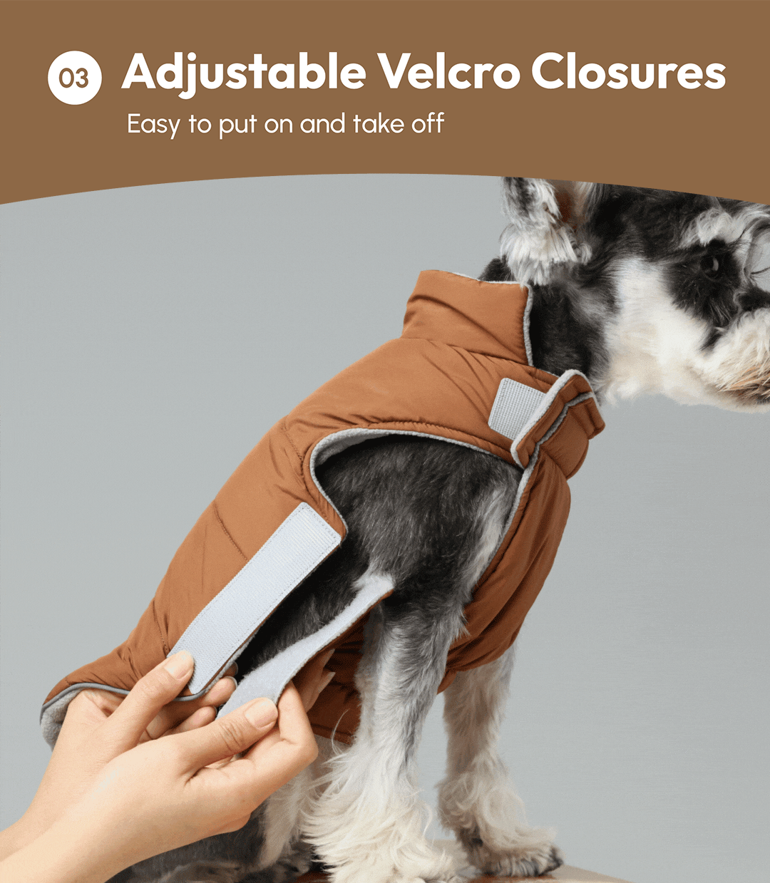 Gilet réversible pour chien - Vert marron
