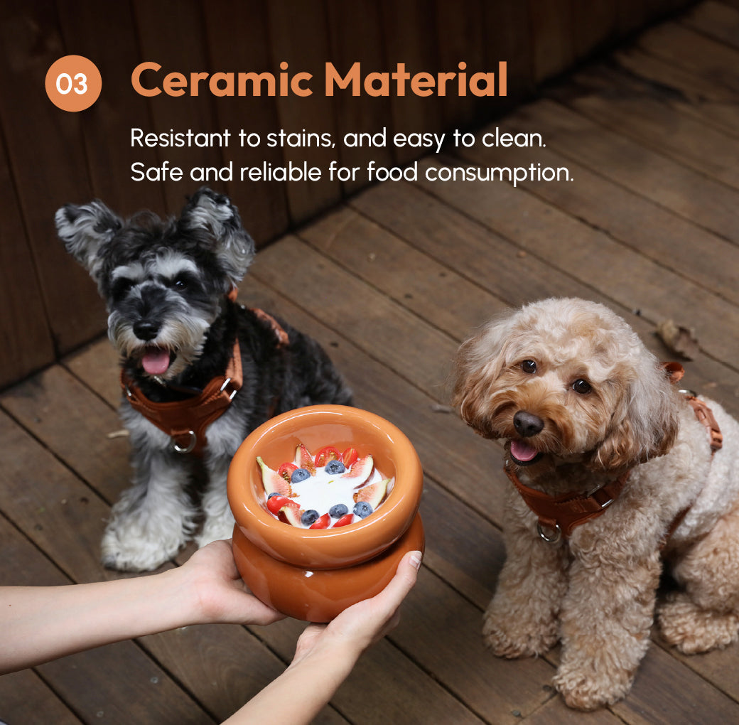 Gamelle Soufflé pour animaux de compagnie - Orange ambré