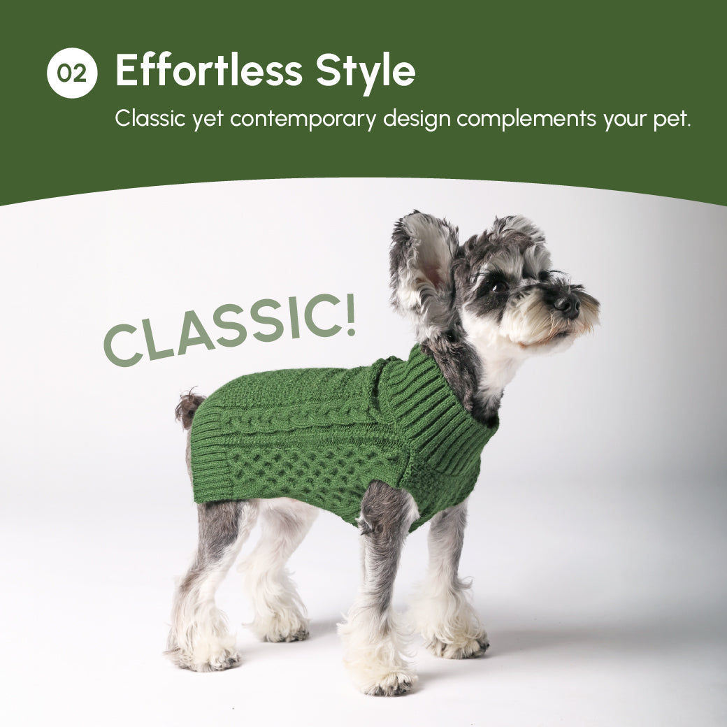 Gilet pull pour animaux de compagnie - Vert