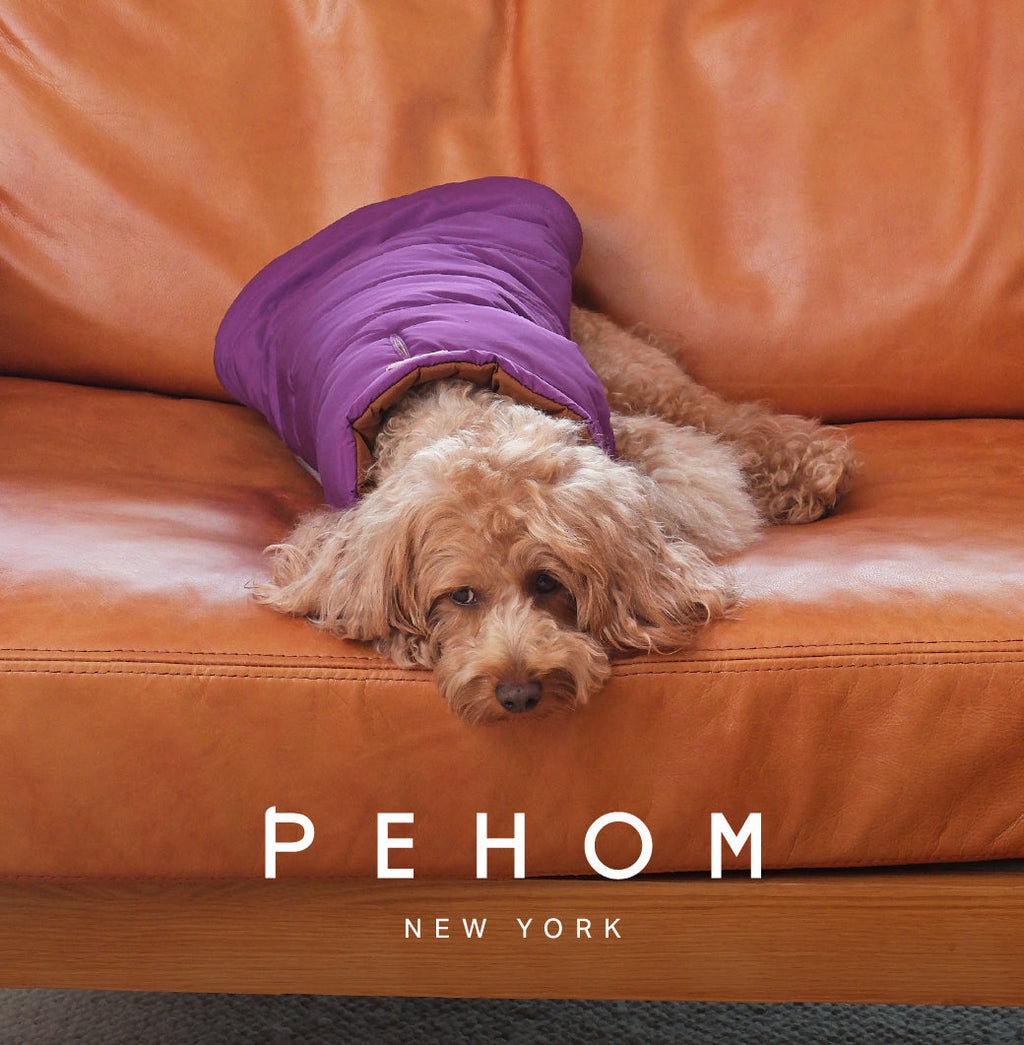 Gilet réversible pour chien - Violet Caramel