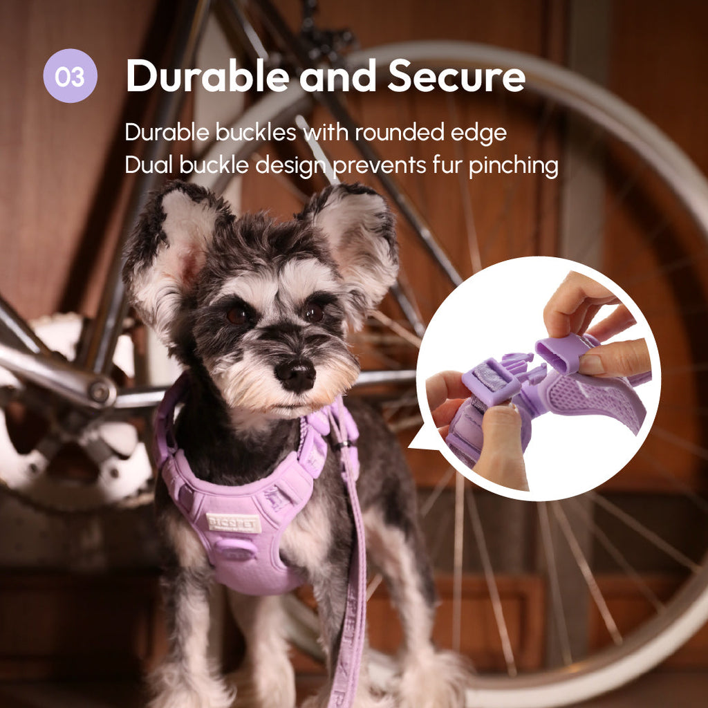 HARNAIS POUR ANIMAUX DE COMPAGNIE ANTI-TRACTION - VIOLET MENTHE
