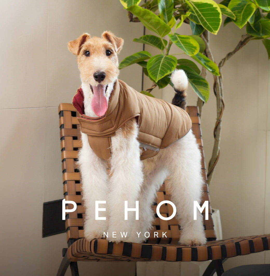 Doudoune réversible pour chien - Rouge Marron