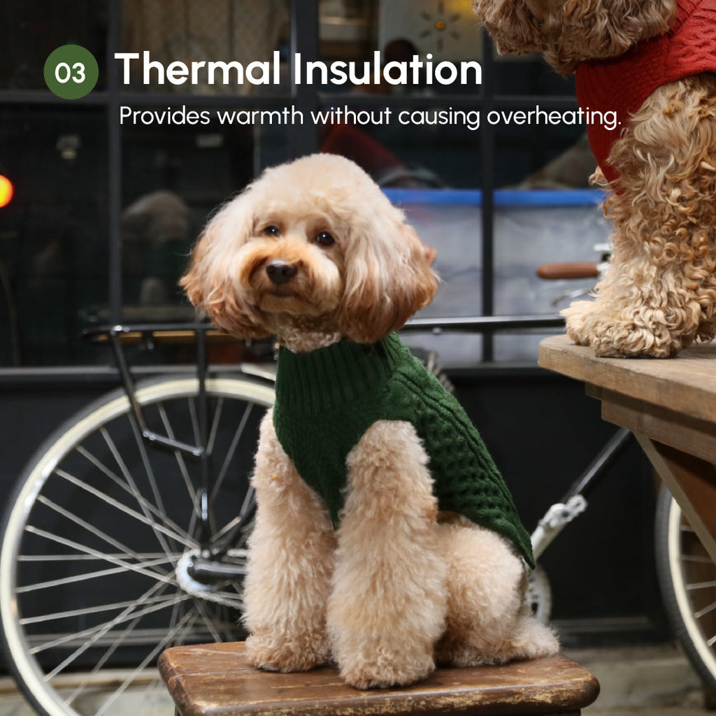Gilet pull pour animaux de compagnie - Vert