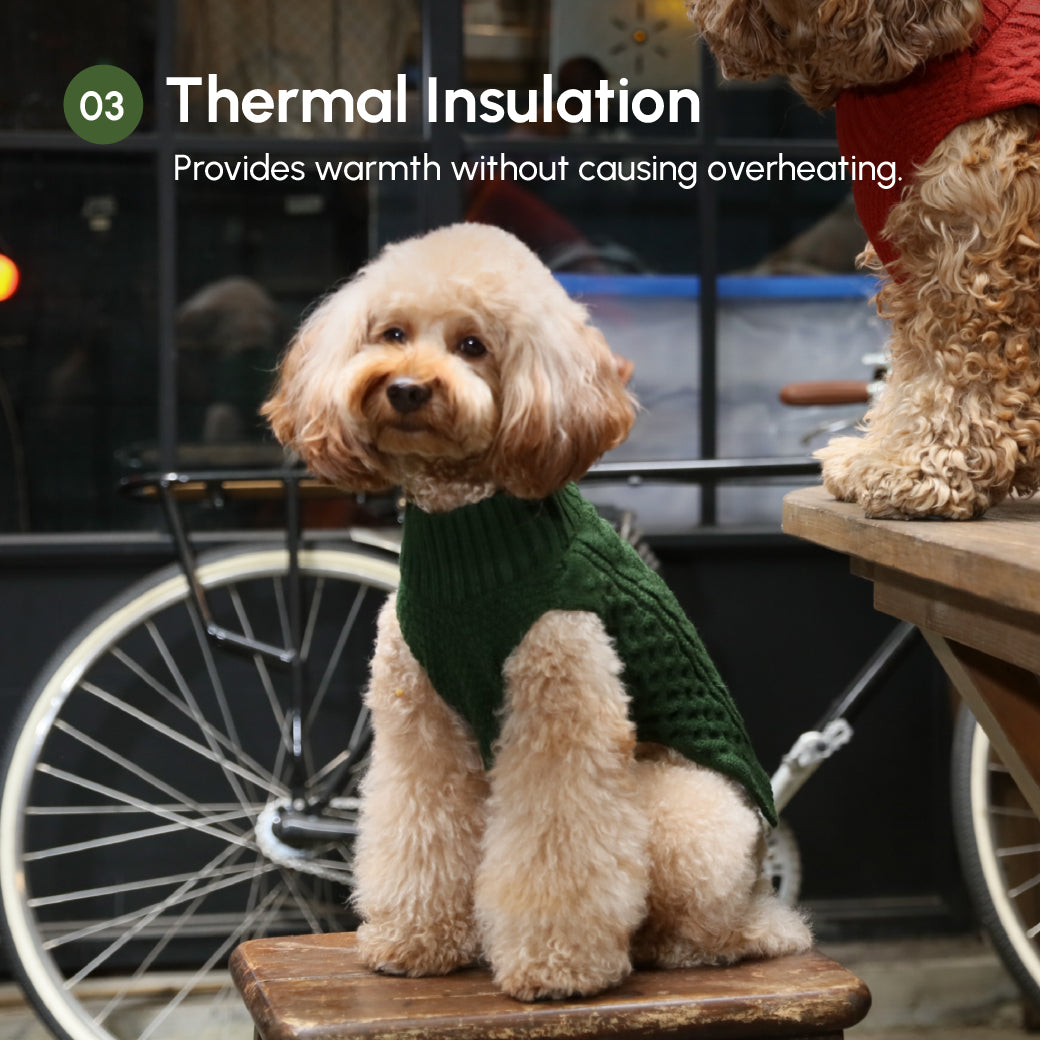 Gilet pull pour animaux de compagnie - Vert