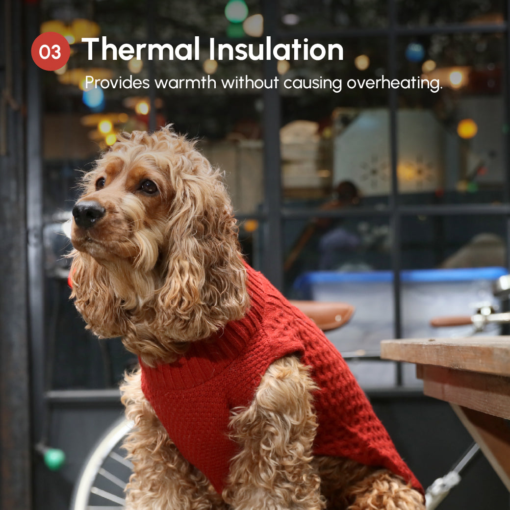 Gilet de chandail pour animaux de compagnie - Rouge