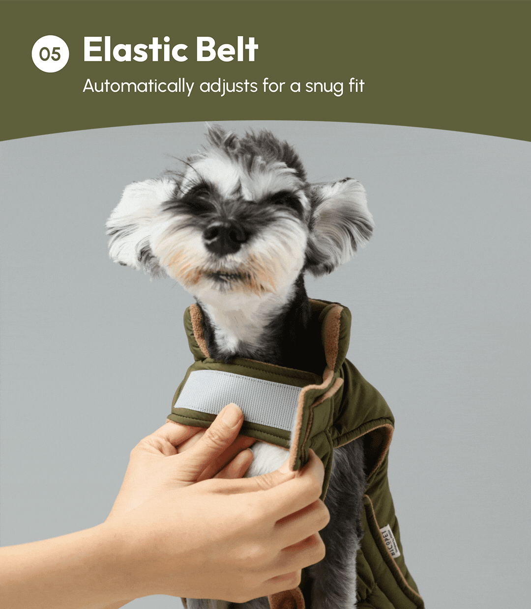 Gilet réversible pour chien - Vert marron
