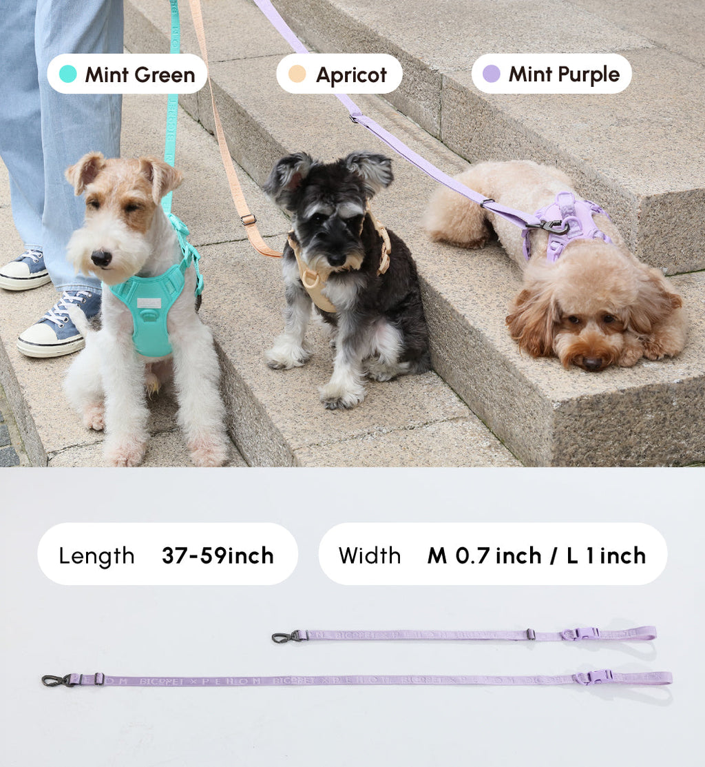 LAISSE REMBOURRÉE ACTIVE POUR ANIMAUX DE COMPAGNIE - VIOLET MENTHE