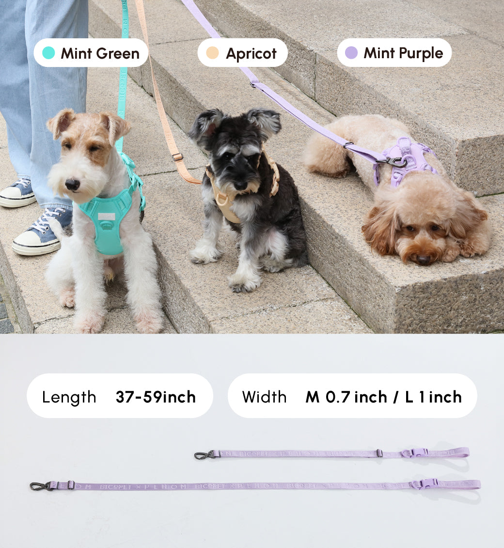 LAISSE REMBOURRÉE ACTIVE POUR ANIMAUX DE COMPAGNIE - VIOLET MENTHE