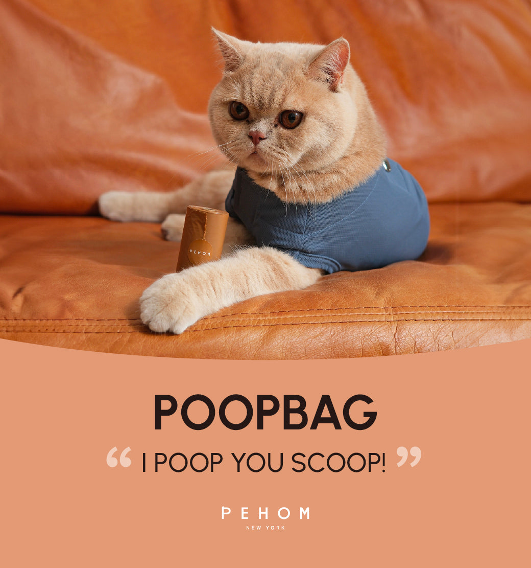 Distributeur et sacs à déjections