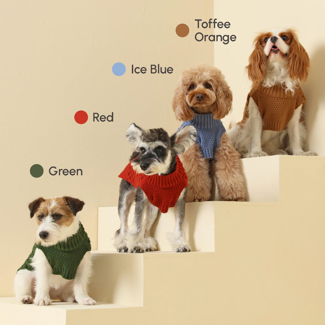 Gilet pour animaux de compagnie - Bleu glacier
