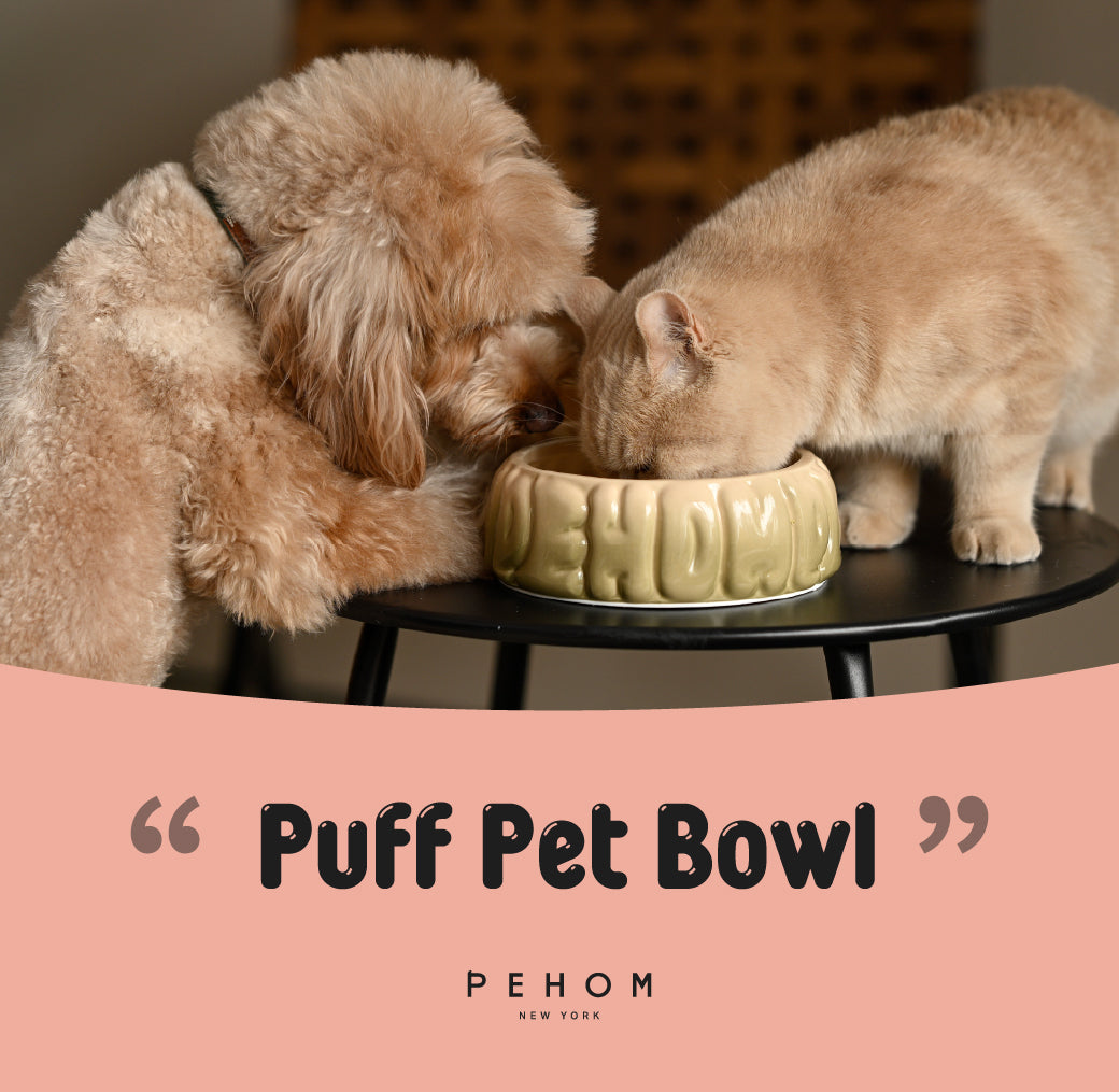 Bol pour animaux Puff - Caramel dégradé