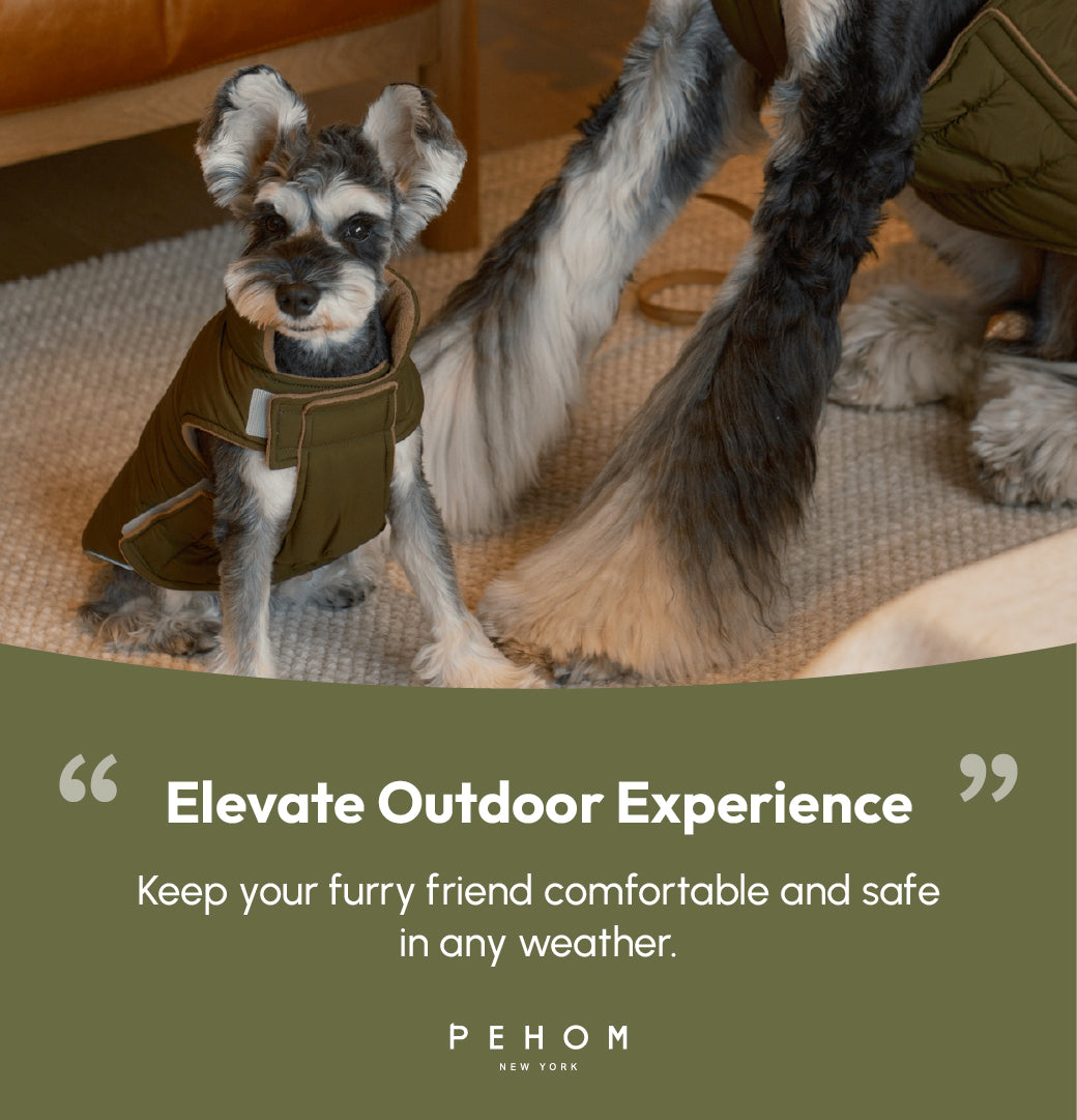 Gilet réversible pour chien - Vert marron