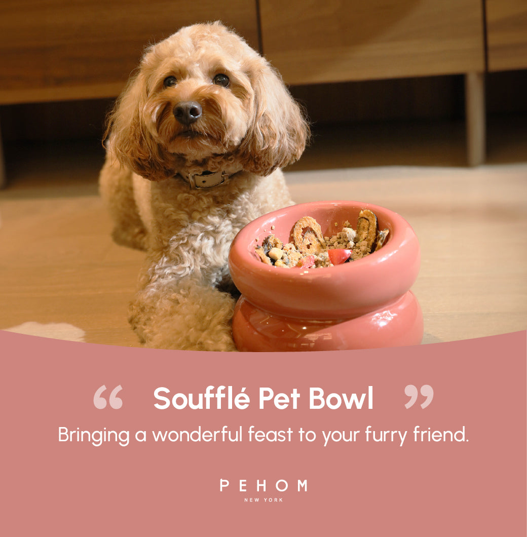 Gamelle Soufflé pour animaux de compagnie - Rose poudré