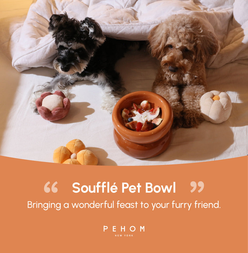 Gamelle Soufflé pour animaux de compagnie - Orange ambré