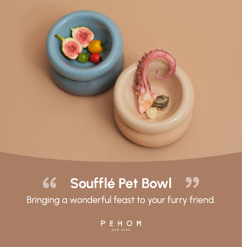 Gamelle Soufflé pour animaux de compagnie - Beige crème