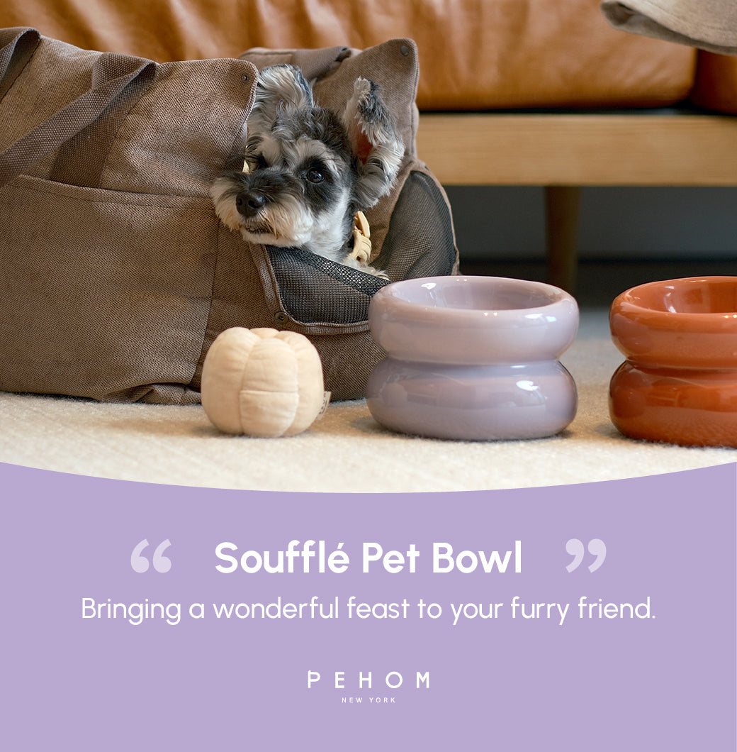 Gamelle Soufflée pour Animaux de Compagnie - Violette