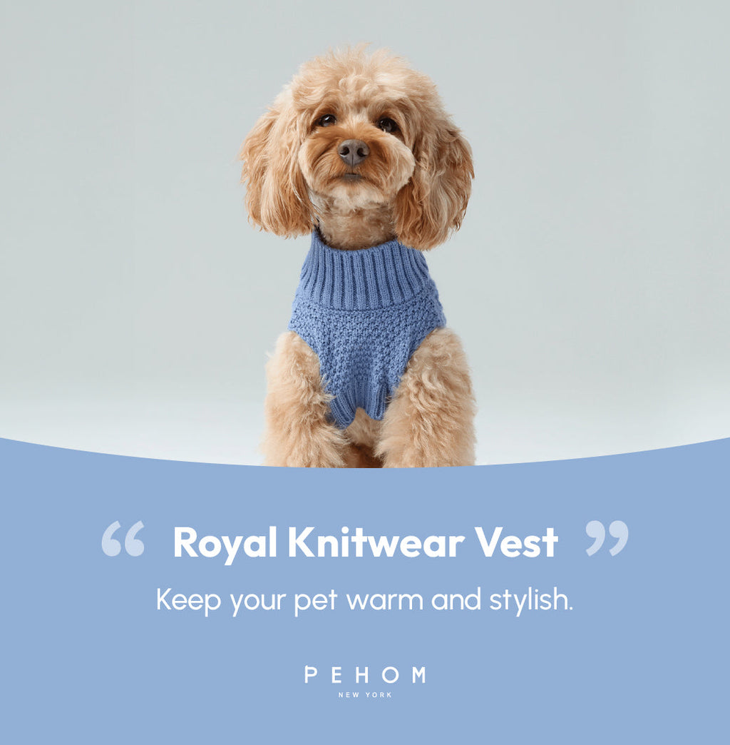 Gilet pour animaux de compagnie - Bleu glacier