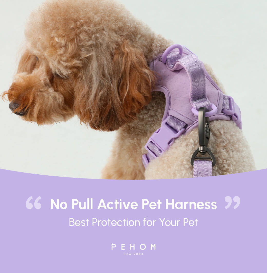 HARNAIS POUR ANIMAUX DE COMPAGNIE ANTI-TRACTION - VIOLET MENTHE