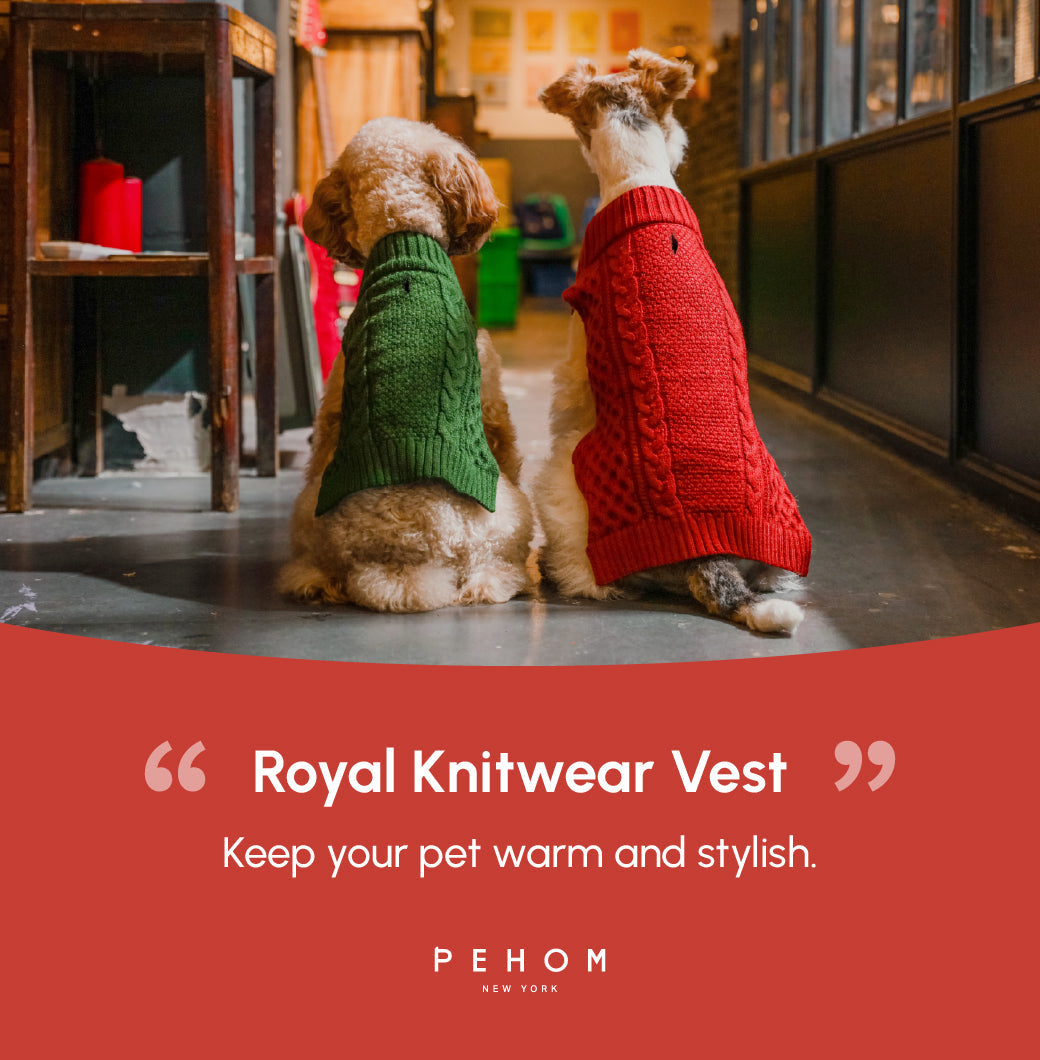Gilet de chandail pour animaux de compagnie - Rouge