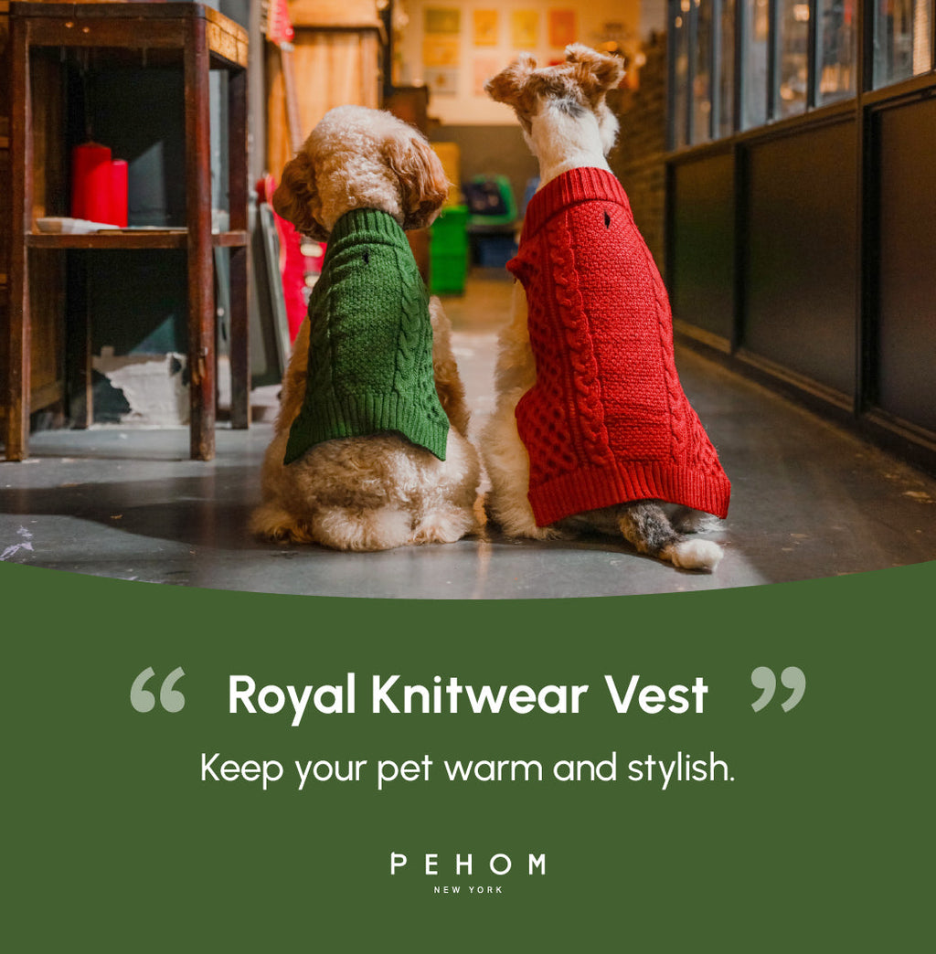 Gilet pull pour animaux de compagnie - Vert