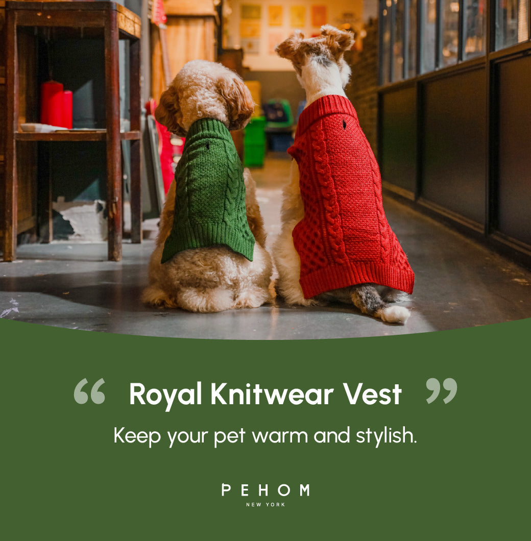 Gilet pull pour animaux de compagnie - Vert