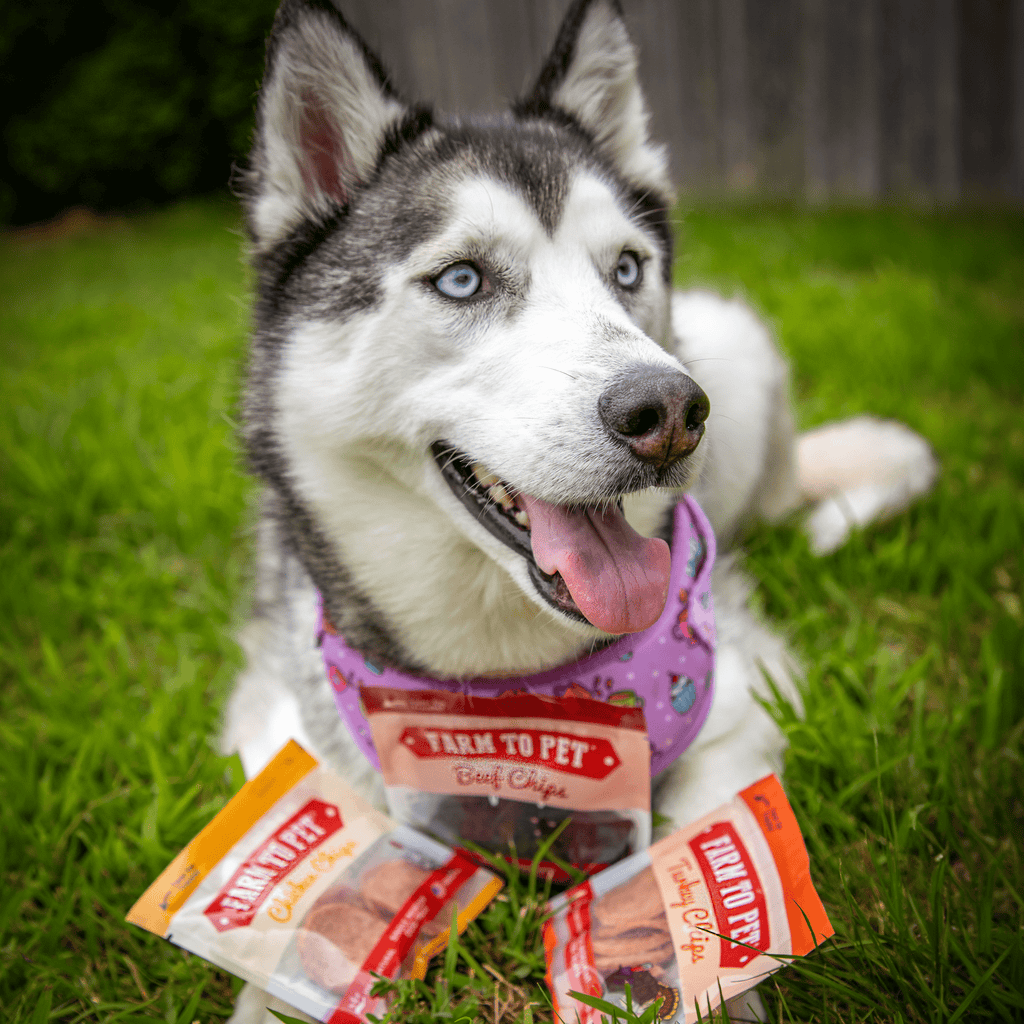 Assortiment de friandises pour chiens Snack Pack