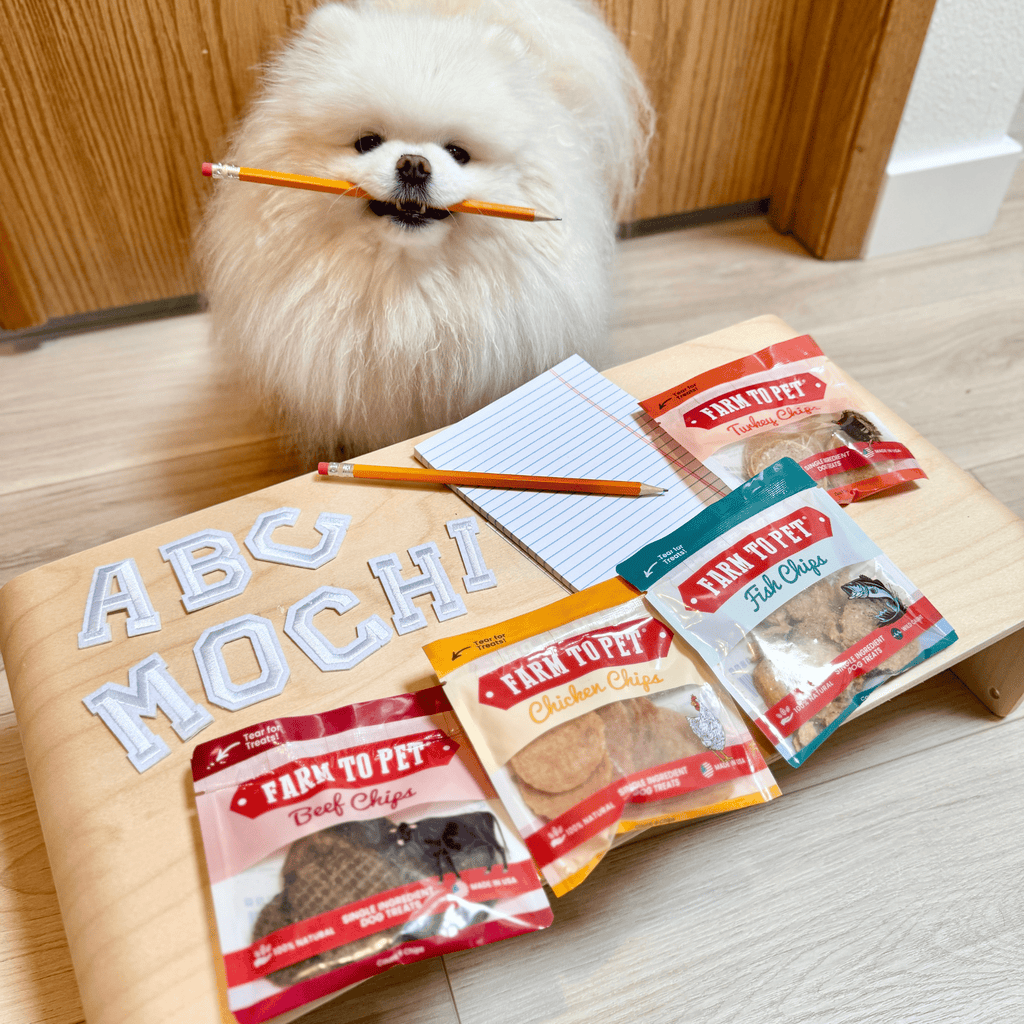 Assortiment de friandises pour chiens Snack Pack
