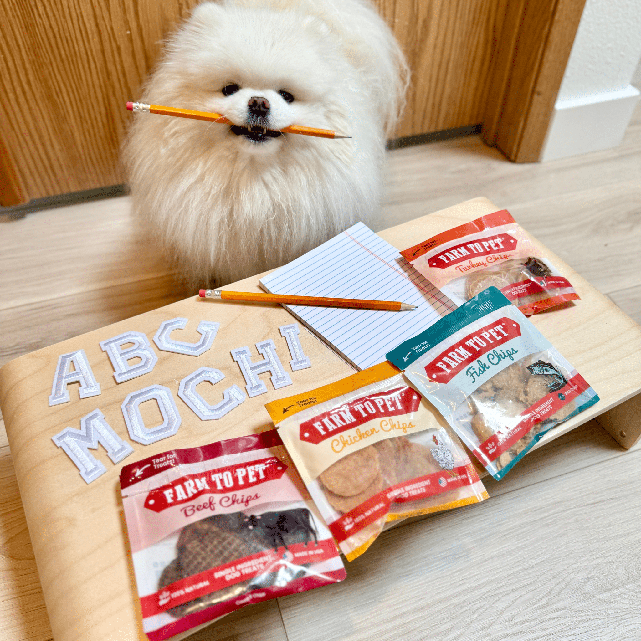 Assortiment de friandises pour chiens Snack Pack