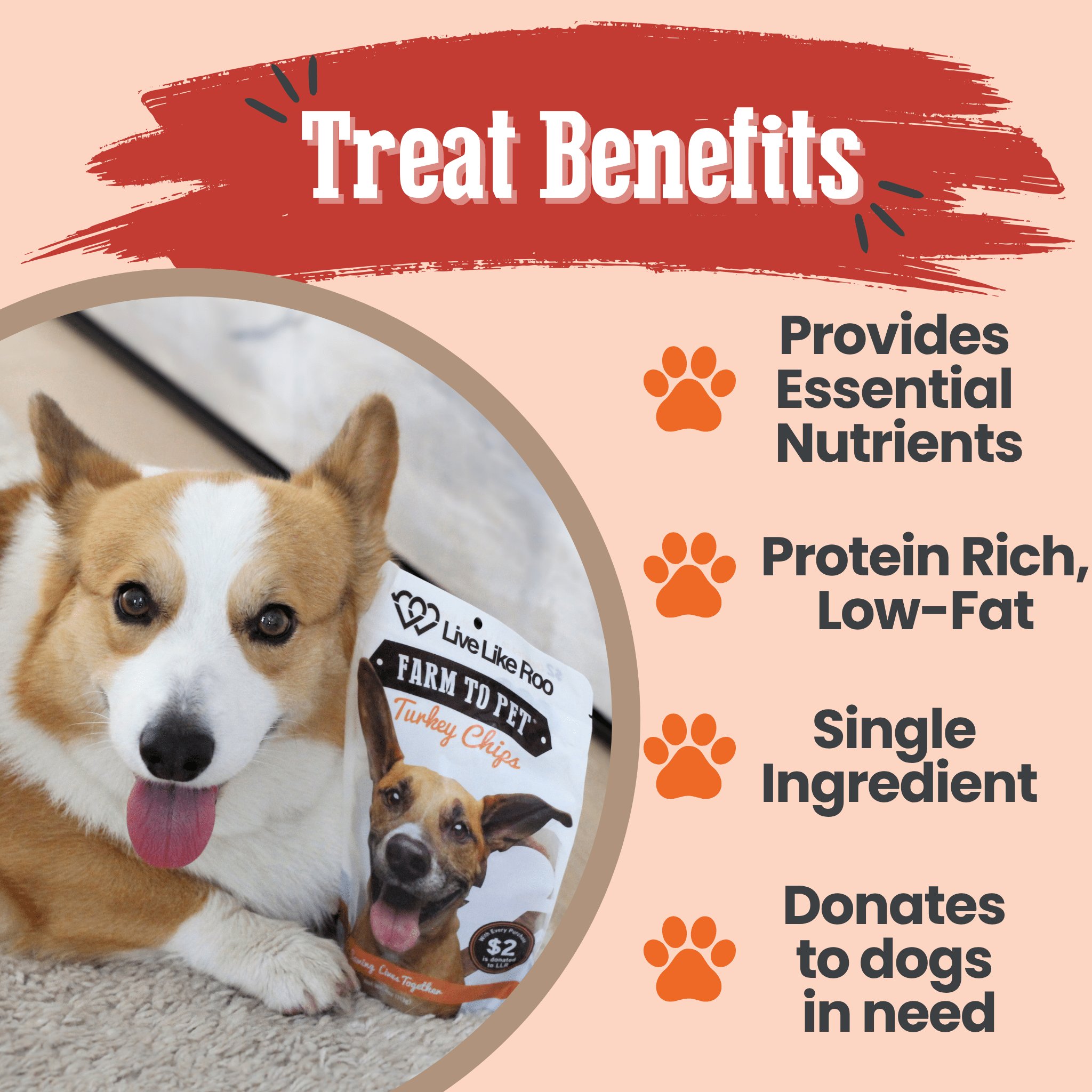 Friandises pour chiens Live Like Roo Turkey Chips | Des friandises qui font la différence