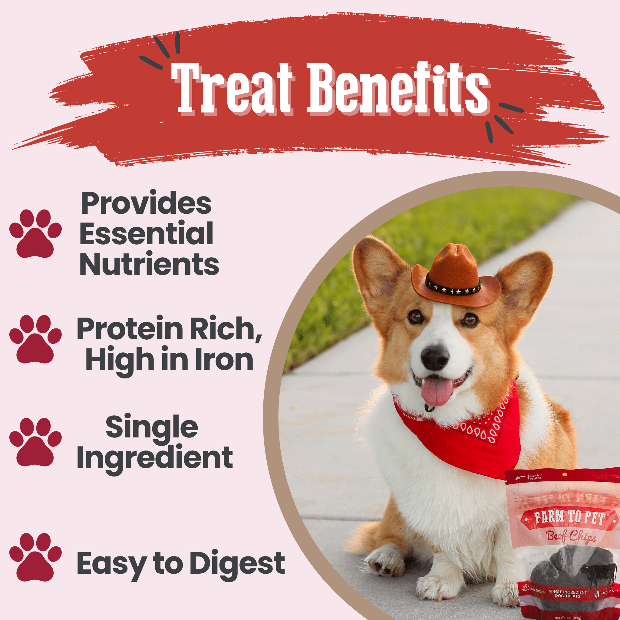 Friandises pour chiens aux copeaux de bœuf | Friandises saines à ingrédient unique pour chiens
