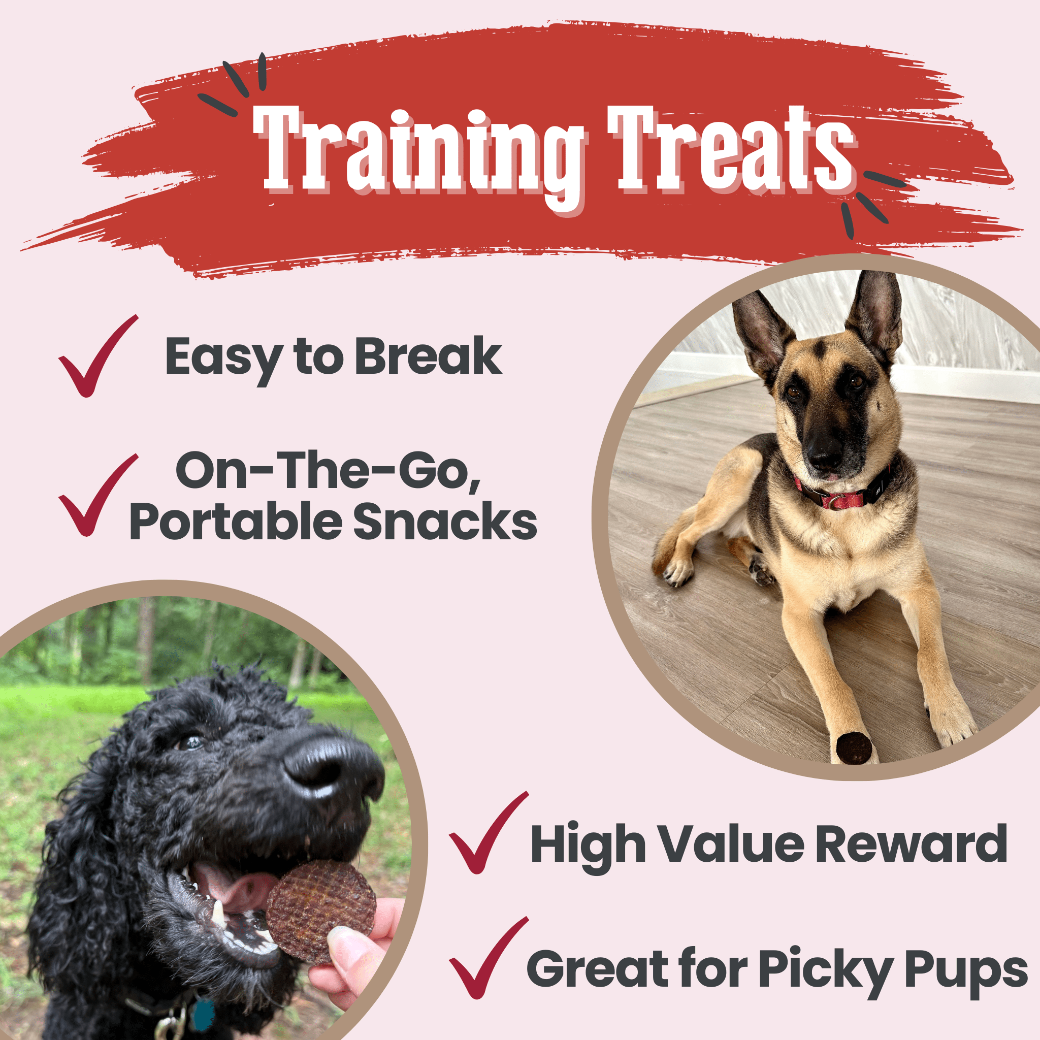 Friandises pour chiens aux copeaux de bœuf | Friandises saines à ingrédient unique pour chiens