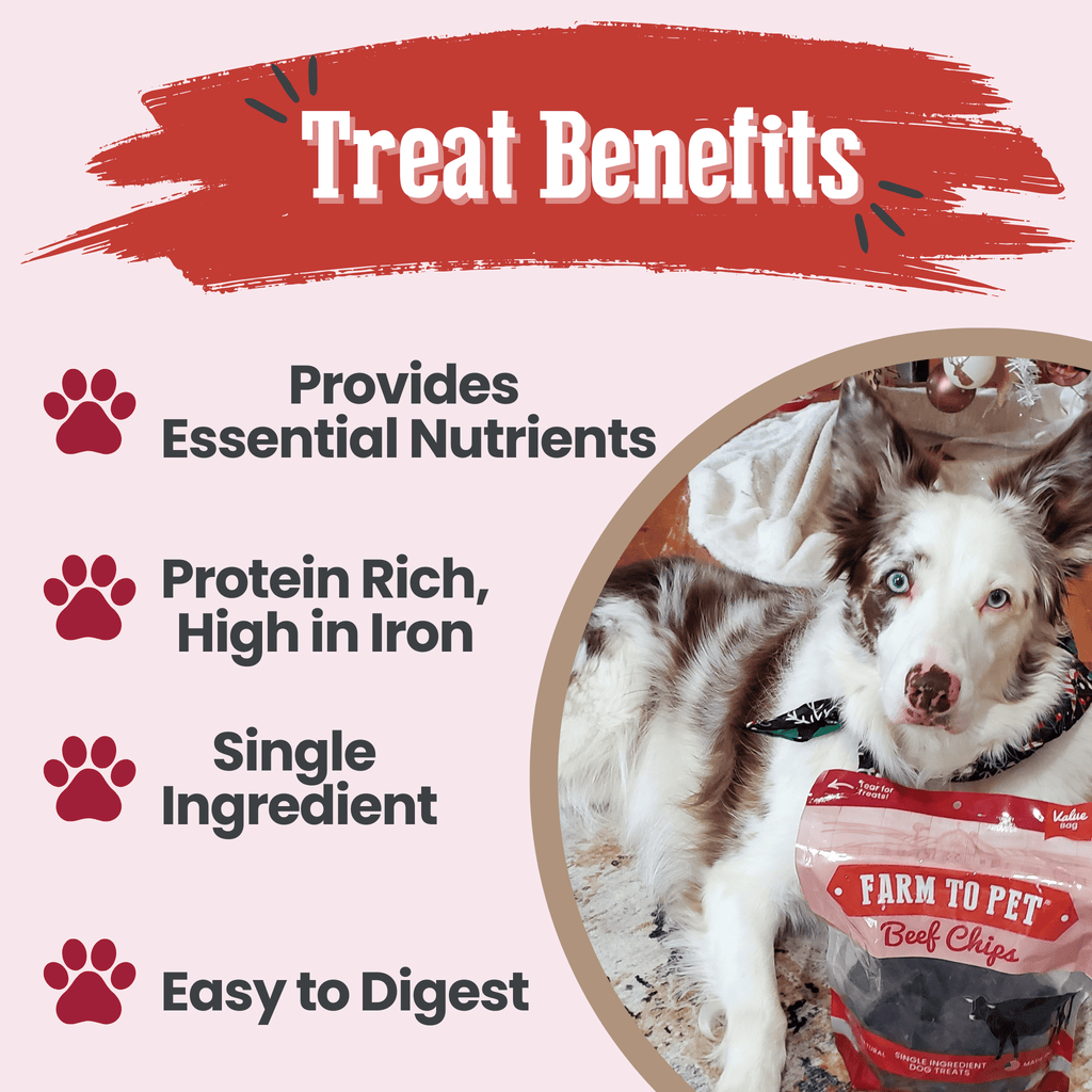 Friandises pour chiens aux copeaux de bœuf | Friandises saines à ingrédient unique pour chiens