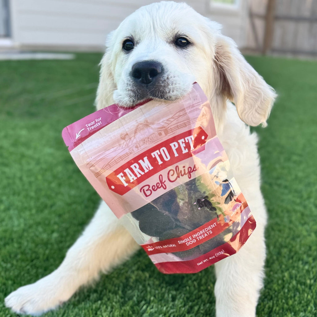 Friandises pour chiens aux copeaux de bœuf | Friandises saines à ingrédient unique pour chiens