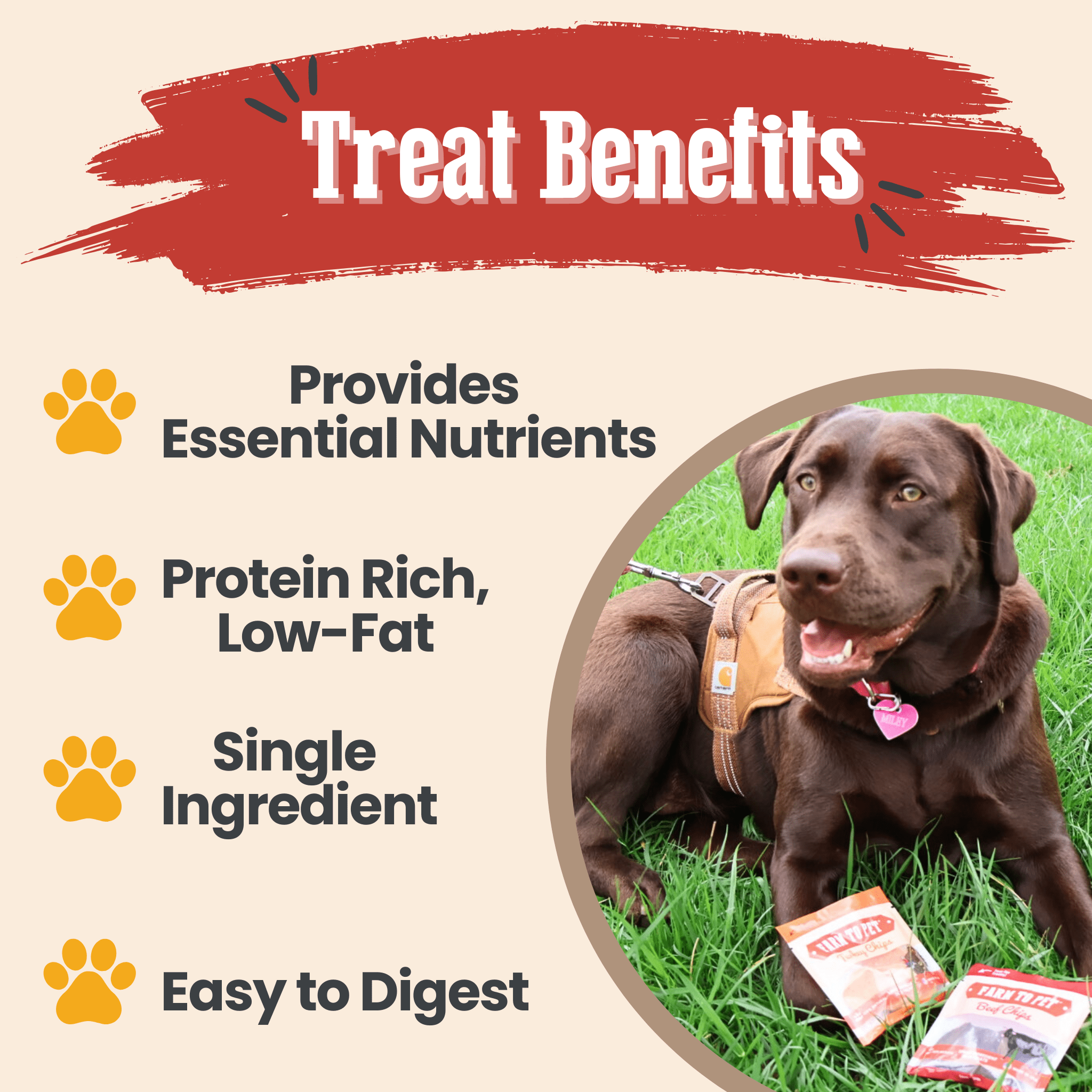 Assortiment de friandises pour chiens Snack Pack