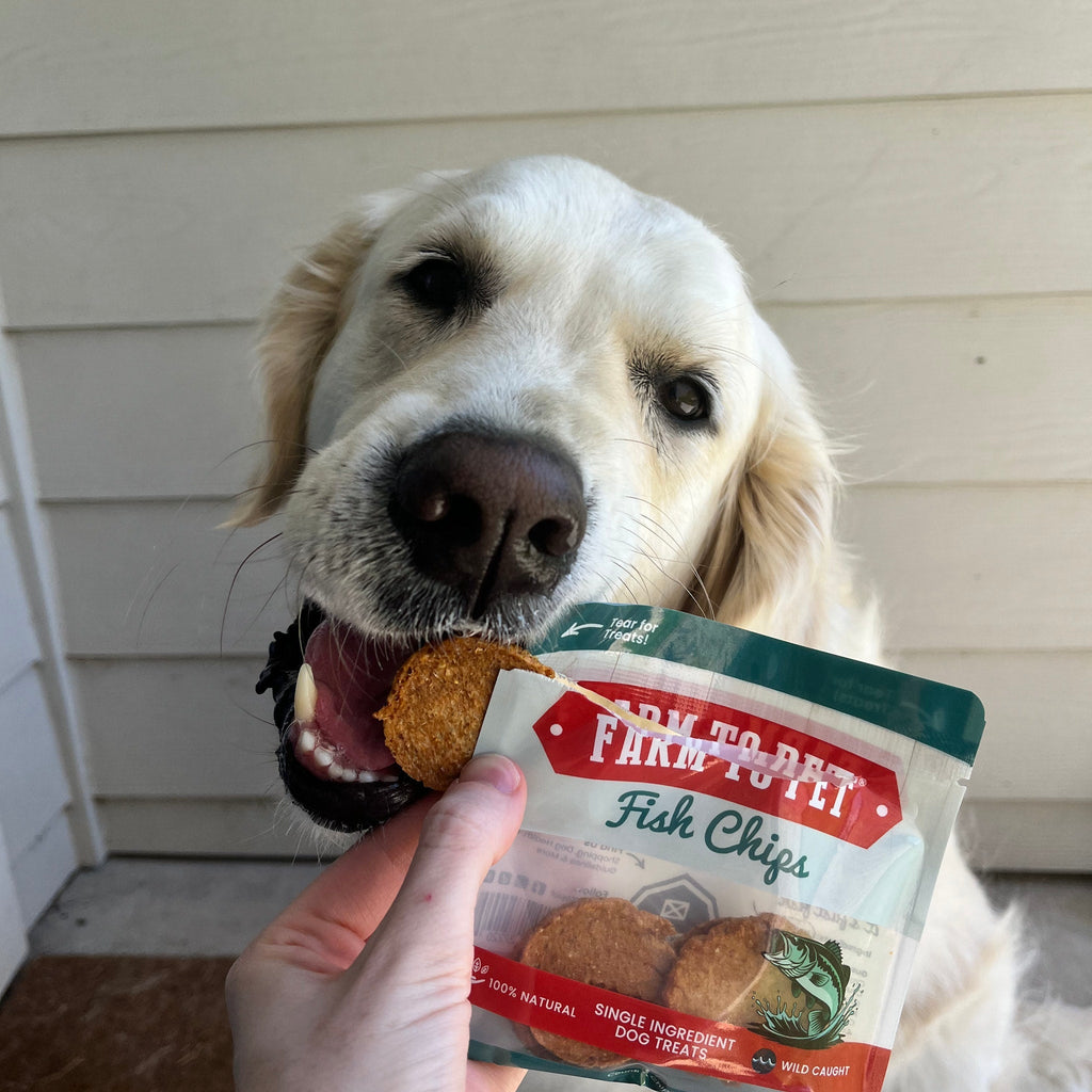 Assortiment de friandises pour chiens Snack Pack