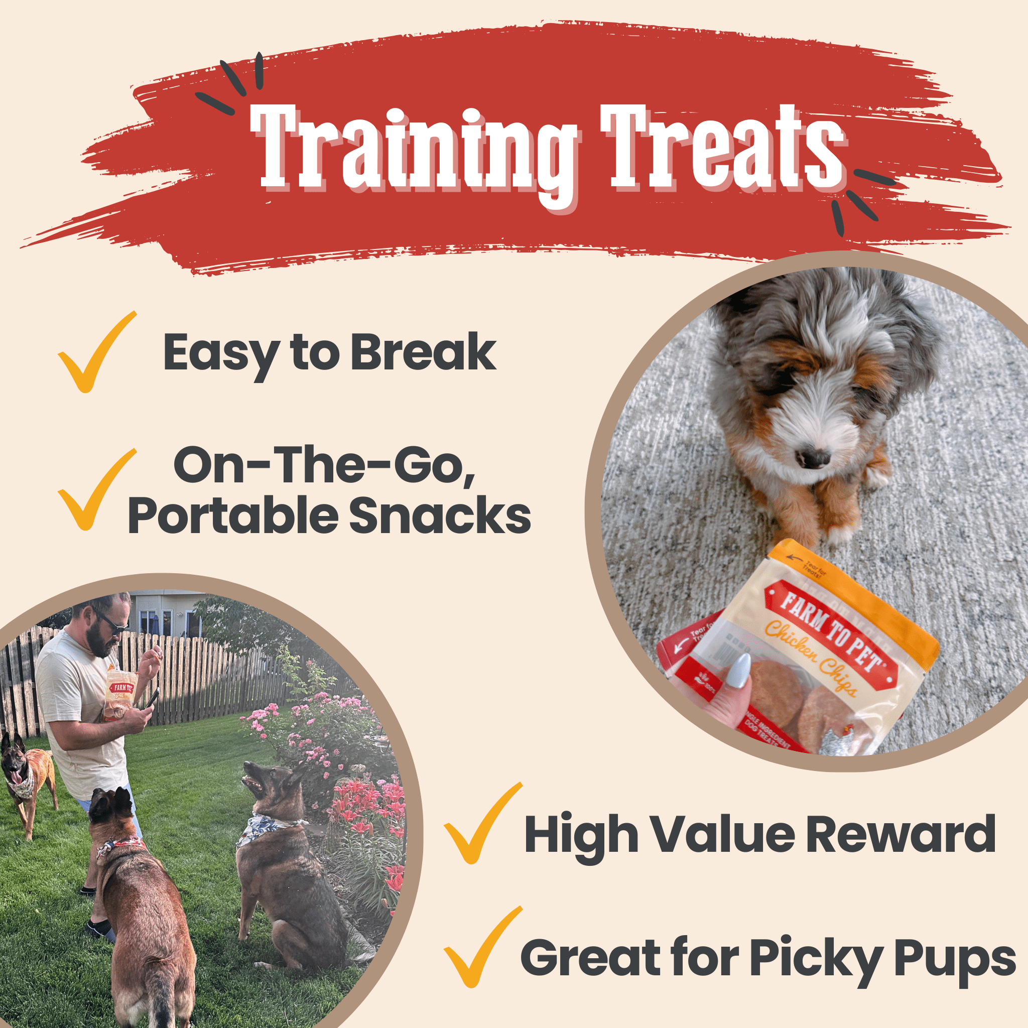 Assortiment de friandises pour chiens Snack Pack