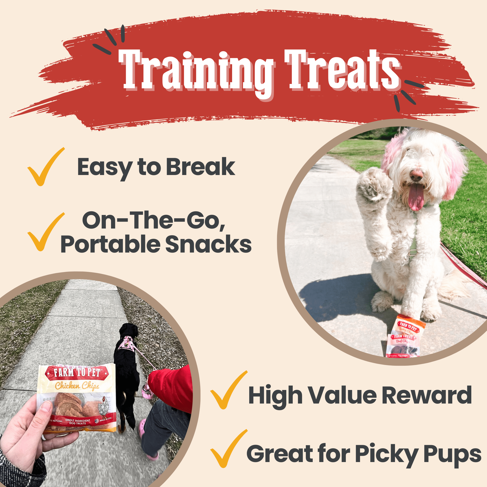 Assortiment de friandises pour chiens Snack Pack