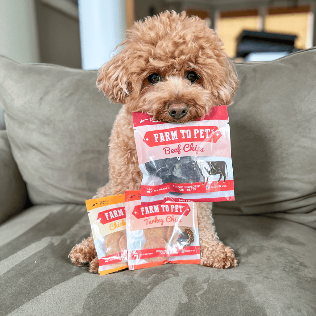 Assortiment de friandises pour chiens Snack Pack