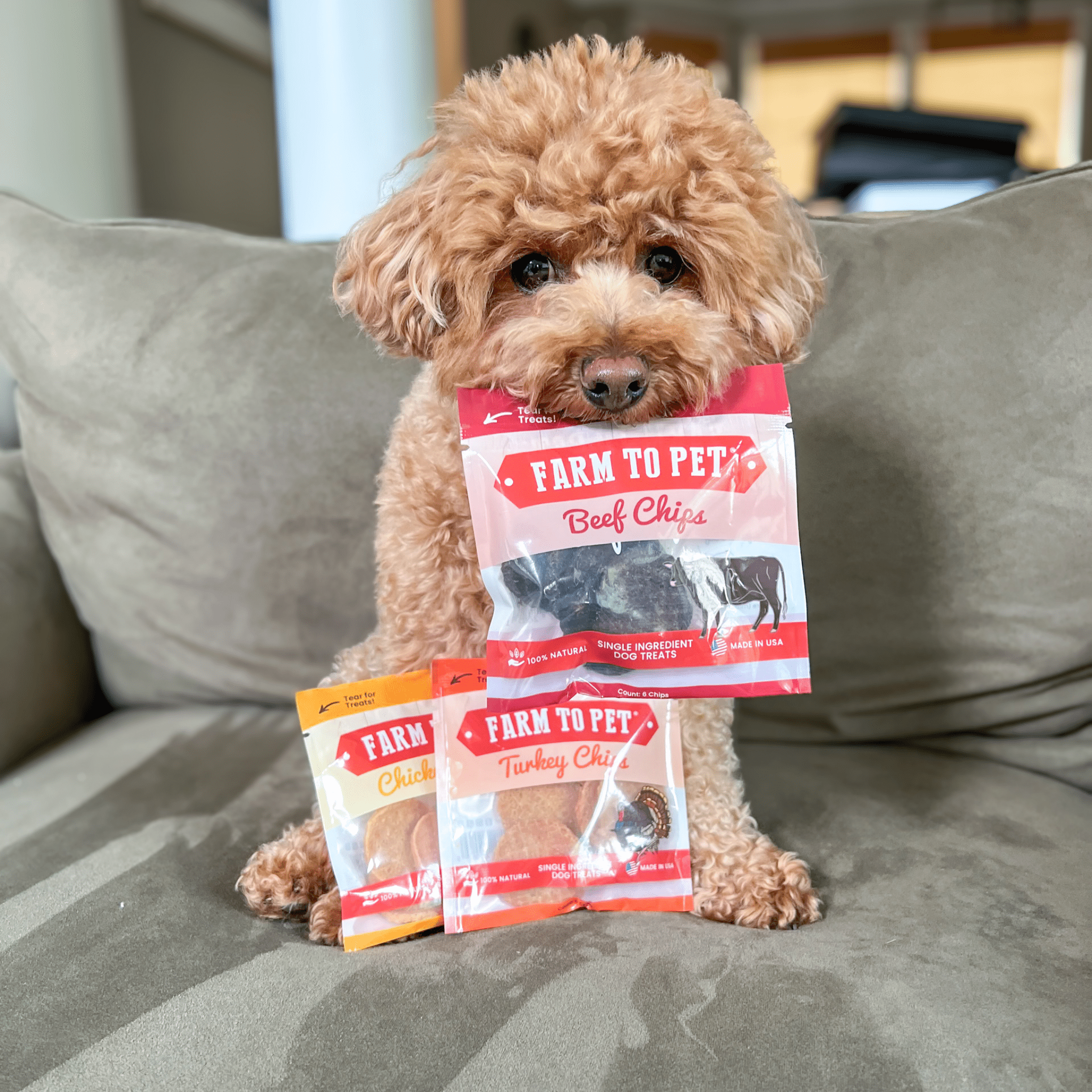 Assortiment de friandises pour chiens Snack Pack