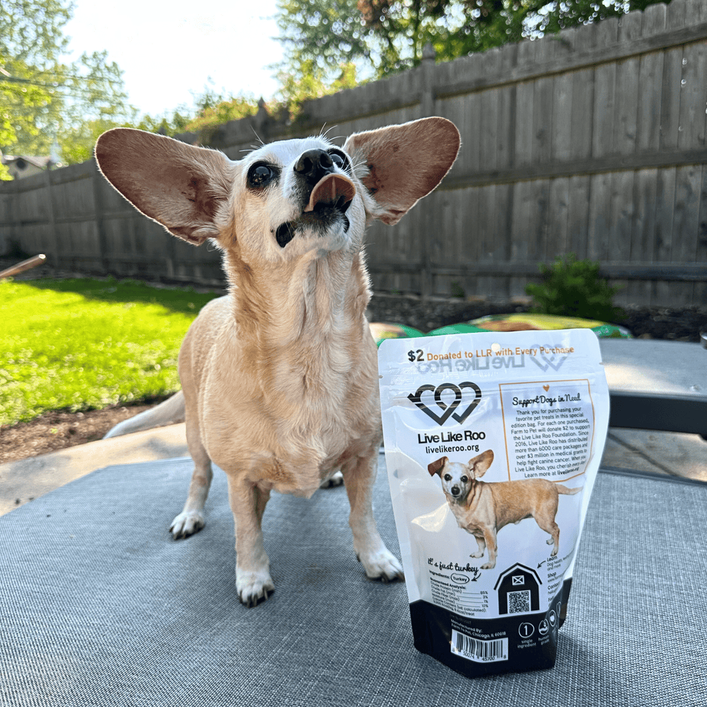 Friandises pour chiens Live Like Roo Turkey Chips | Des friandises qui font la différence
