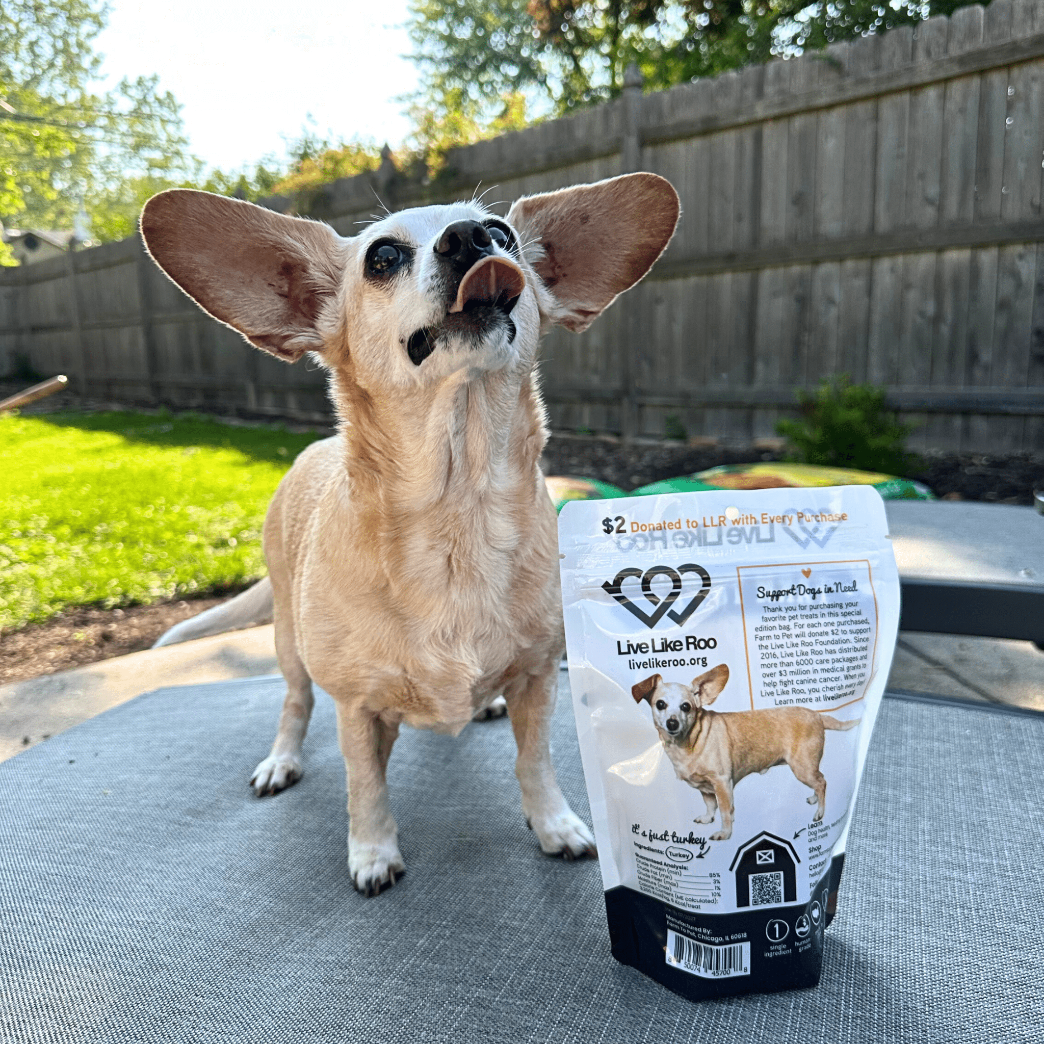 Friandises pour chiens Live Like Roo Turkey Chips | Des friandises qui font la différence